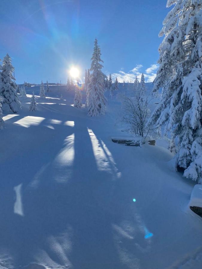 Olimpik House Jahorina Βίλα Εξωτερικό φωτογραφία
