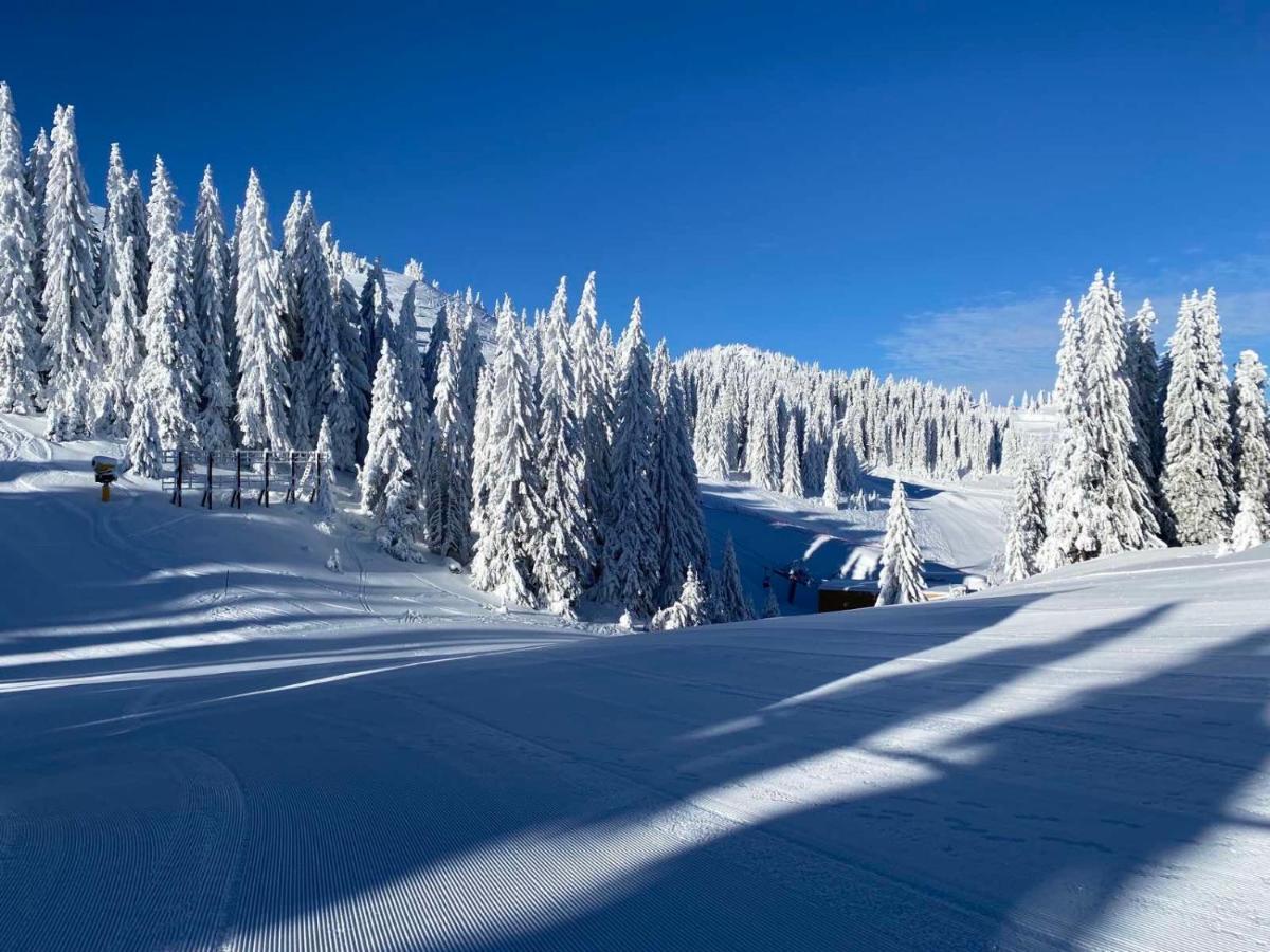 Olimpik House Jahorina Βίλα Εξωτερικό φωτογραφία