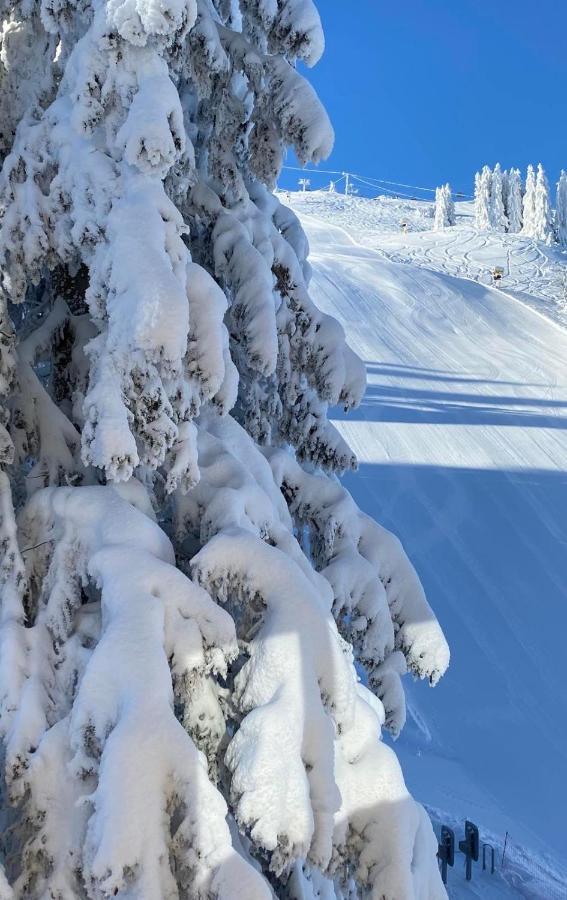 Olimpik House Jahorina Βίλα Εξωτερικό φωτογραφία